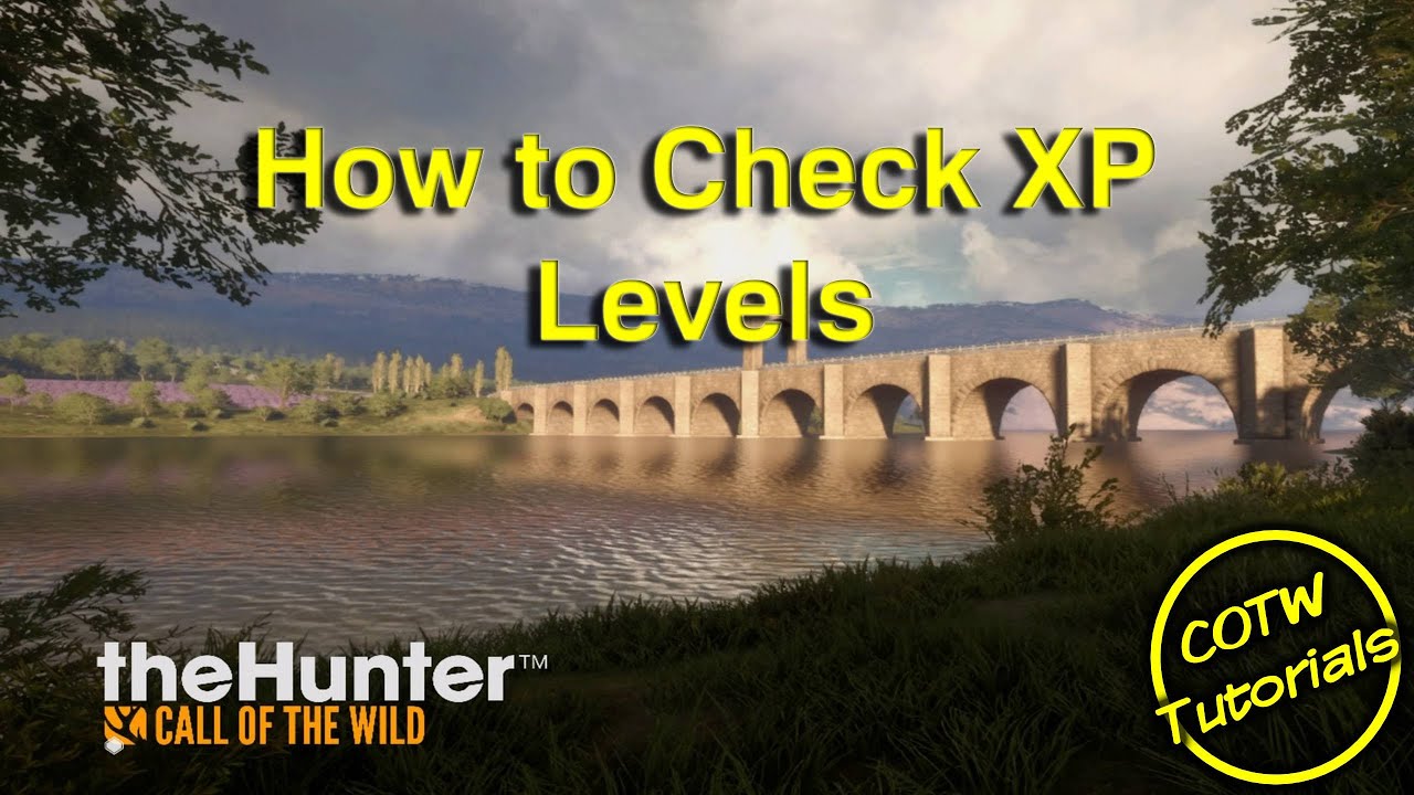 theHunter Call of the Wild - How to Check XP Levels - YouTube