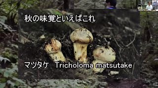 【生命機能科学コース】 応用真菌学研究室（山田 明義 准教授）2021オープンラボ動画