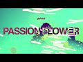 Capture de la vidéo Pnau - Passion Flower (Official Visualiser)