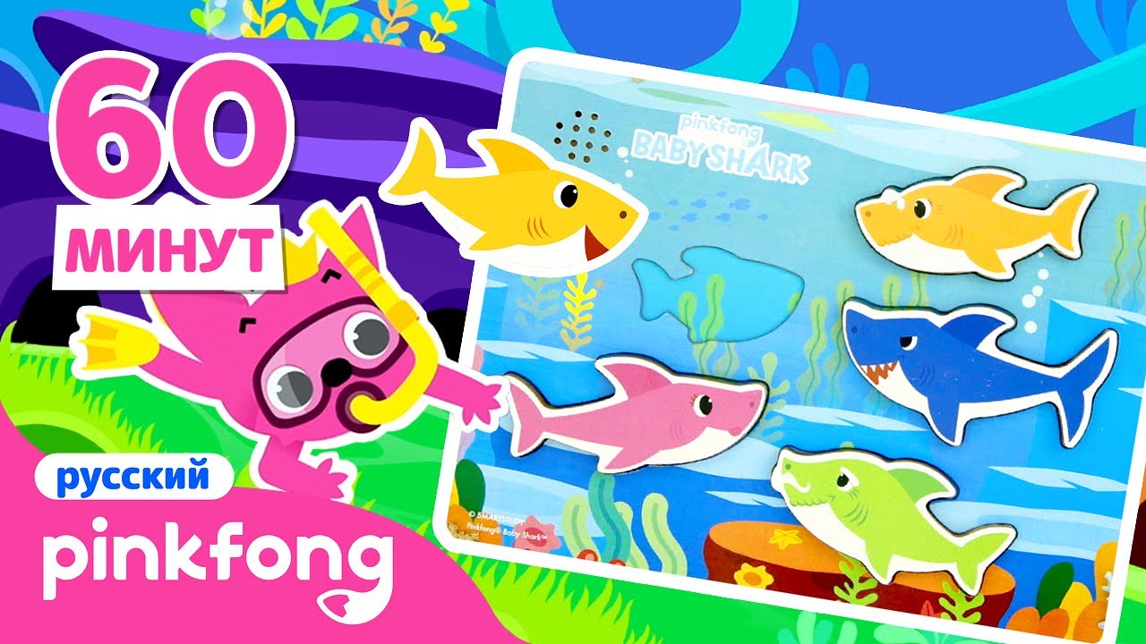 Альбом акулы. Альбом акулы. Pinkfong акулёнок текст песни. Акулёнок туруруру. Акула сборник песен.