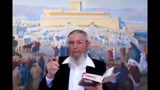 שיעורי המקדש: מצוות מלך - קודמת לבניין המקדש?