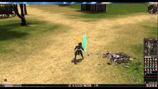 [Metin2] Mega-DMG (P-Server)
