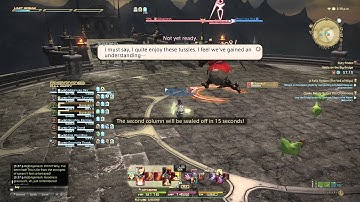 PS4 Final Fantasy XIV A Realm Reborn -Battle On The Big Bridge PLD POV