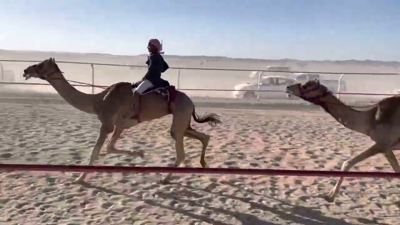 ميدان ينبع شوط المارثون 8 كم النايف لـ نايف مشخص القرشي