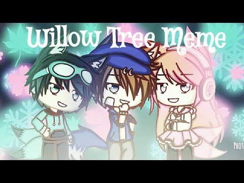 | Willow Tree Meme | Gachalife | Collab With : Salsabila 2006 |