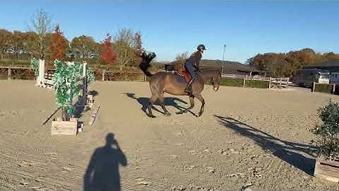 DHT 13-11-2025: Bimbo d