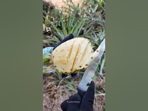 Pineapple Cutting In Farm - Fruit Cutting Skill - YouTube