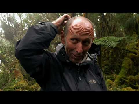 Sarawaget Traverse Trailer