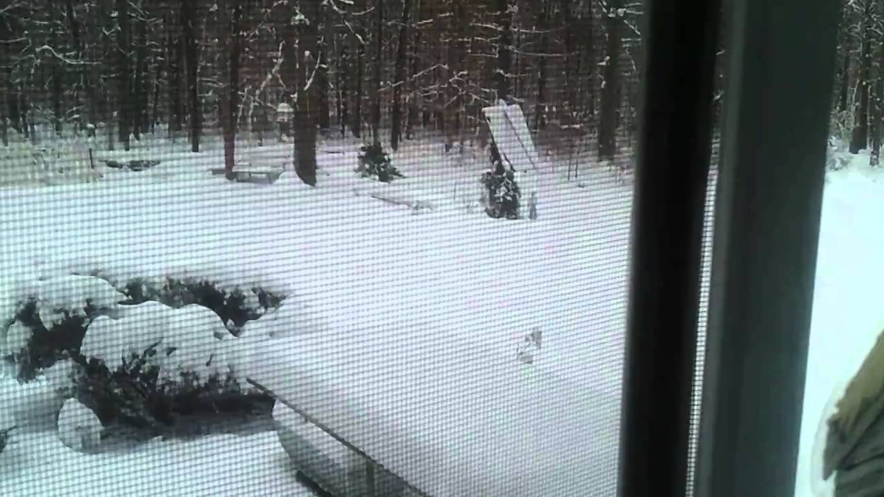 Snow in New Jersey ( Buena Vista) YouTube