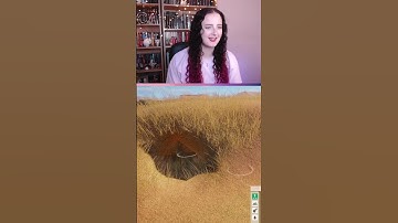 Underground Viewing Areas - Planet Zoo Tips & Tricks