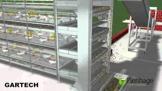 GARTECH FIENHAGE , layer battery cages , jaulas de Pollos Engorde