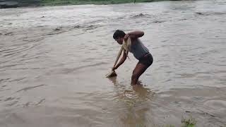 Most Popular Cast Net Fishing In Village Pond - Net Fishing With Beautiful Natural Part-2