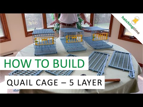 Quail Cage -