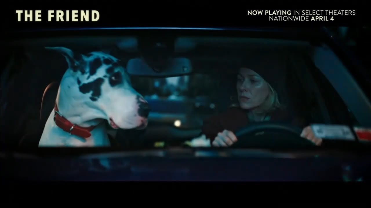 The Friend (2025)  - U.S. TV Spot ('miracle')