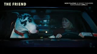 The Friend (2025)  - U.S. TV Spot ('miracle')