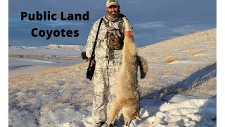 South Dakota Public Land Coyote hunt.