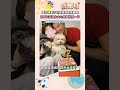 傅子純驟逝