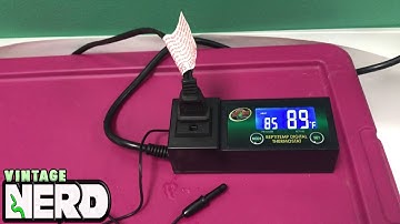 Thermostats, what do they do for reptiles? Let