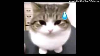 osamason.skai.legion.gyro.kuttbaby.type.beat.492