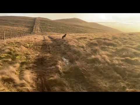 Colsnaur Hill, Ochils - just before the awesome SW descent to Menstrie