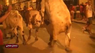 Los cabestros tambien dan......por c...jejeje