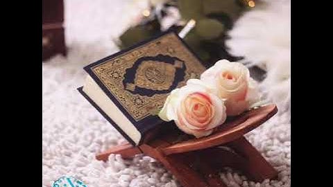اللهم أجعل القرآن الكريم ربيع قلوبنا ونور صدورنا يارب🤲❤