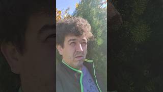 25 октября праздники #bulgaria #snemno #funny #болгария #humor #holiday #праздник #юмор #humour