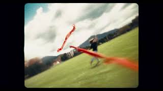 Las Cometas Siempre Vuelan En Agosto