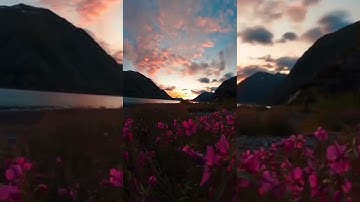 سوره الفلق -سوره الناس- القاريء احمد خضر