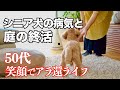 【50代アラ還】【庭じまい】【シニア犬の病気】11歳オス愛犬の病気/おひとり様のブランチ/自治会の仕事/アラカン専業主婦の汚庭の終活/大学生夏休み中の夕飯【暮らしのvlog】