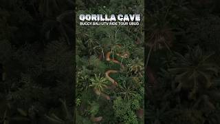 GORILLA CAVE UTV BUGGY BALI ADVENTURE UBUD TOUR #utv #buggy #1000cc #bali #adventure #tour #ubudbali