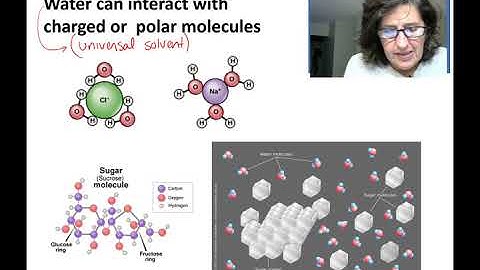 Chapter 5   Video 1   Water and what it means to be polar
