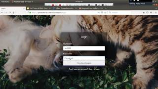 PetFinder - A Web App for Pet Adoption | Software Engineering Course's Project (Demo 3) screenshot 5