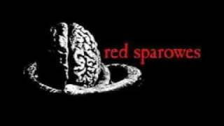 Red Sparowes - we left the apes to rot, but find the fang grows within