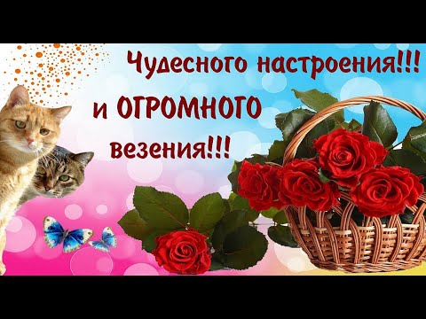 ЖЕЛАЮ ХОРОШЕГО НАСТРОЕНИЯ! ОТКРЫТКА С ПОЖЕЛАНИЕМ ОТЛИЧНОГО НАСТРОЕНИЯ! 60 минут ХОРОШЕГО НАСТРОЕНИЯ!