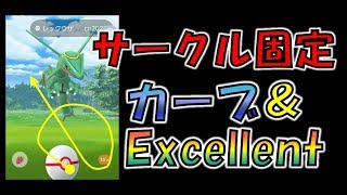 捕獲率超アップ レックウザのサークル固定カーブエクセンレント投法 動画 無課金のポケモンgo攻略日記