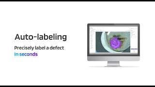 Auto Labeling Vs Manual Labeling in AI visual inspection.
