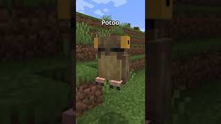 minecraft's new MOBS are very WEIRD