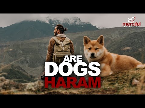 ARE DOGS HARAM?