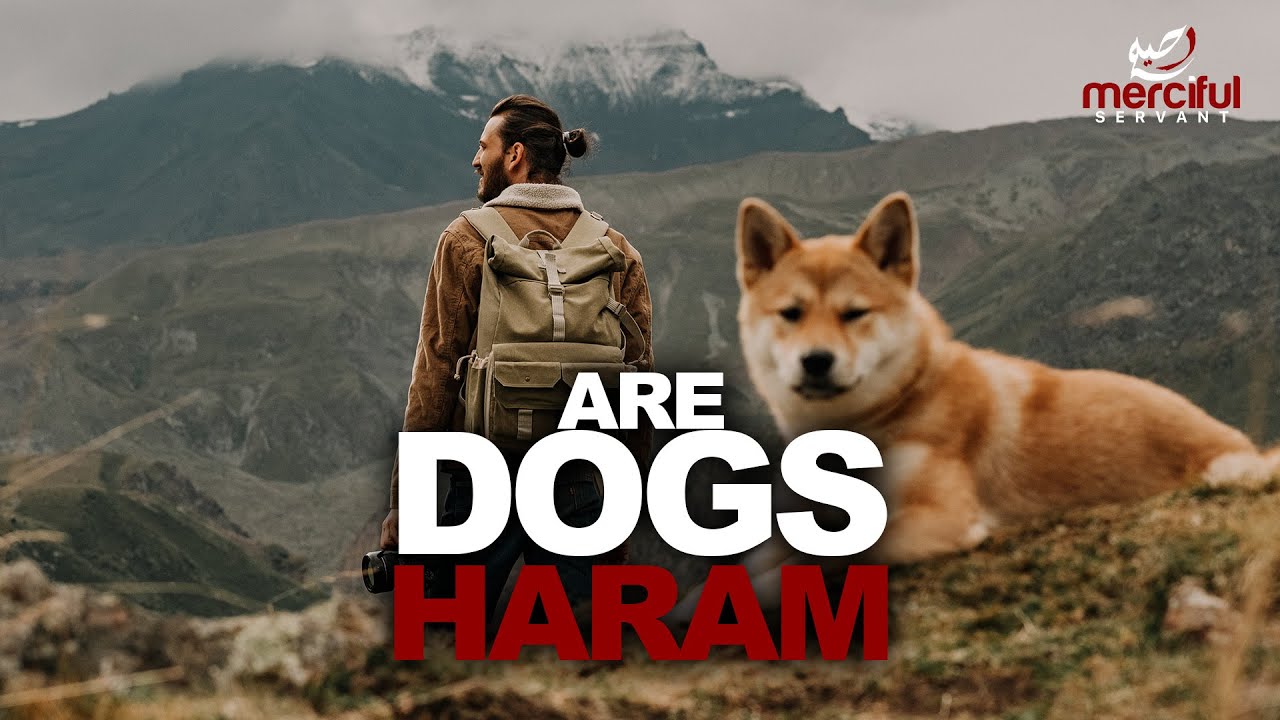 are dogs considered as haram in islam