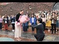 響け！復興の音！第九フラッシュモブプロポーズin倉敷 flashmob proposal in kurashiki Japan