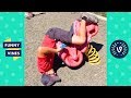 [1 HOUR] TRY NOT TO LAUGH - Funny Videos Compilation | Best of The Month (August 2018)