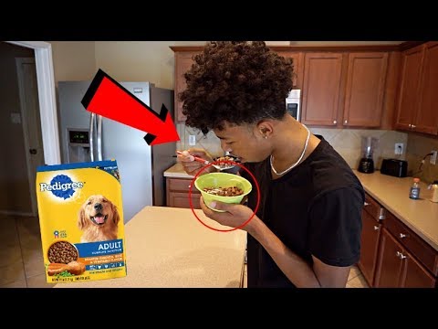 dog-food-in-ceral-prank-on-chris-&-tray!!!