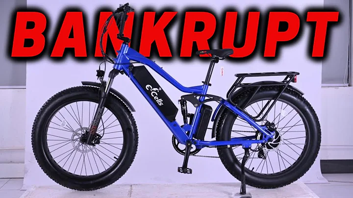 E-Cells E-Bikes Crushed by China Tariffs! // What's Next For The Customers?