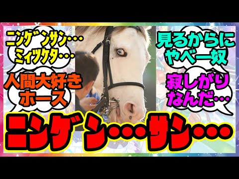 「ﾆﾝｹﾞﾝｻﾝﾀﾁ…」に対するみんなの反応 競馬 まとめ レイミン 競馬