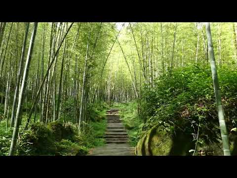 渡紅塵MV