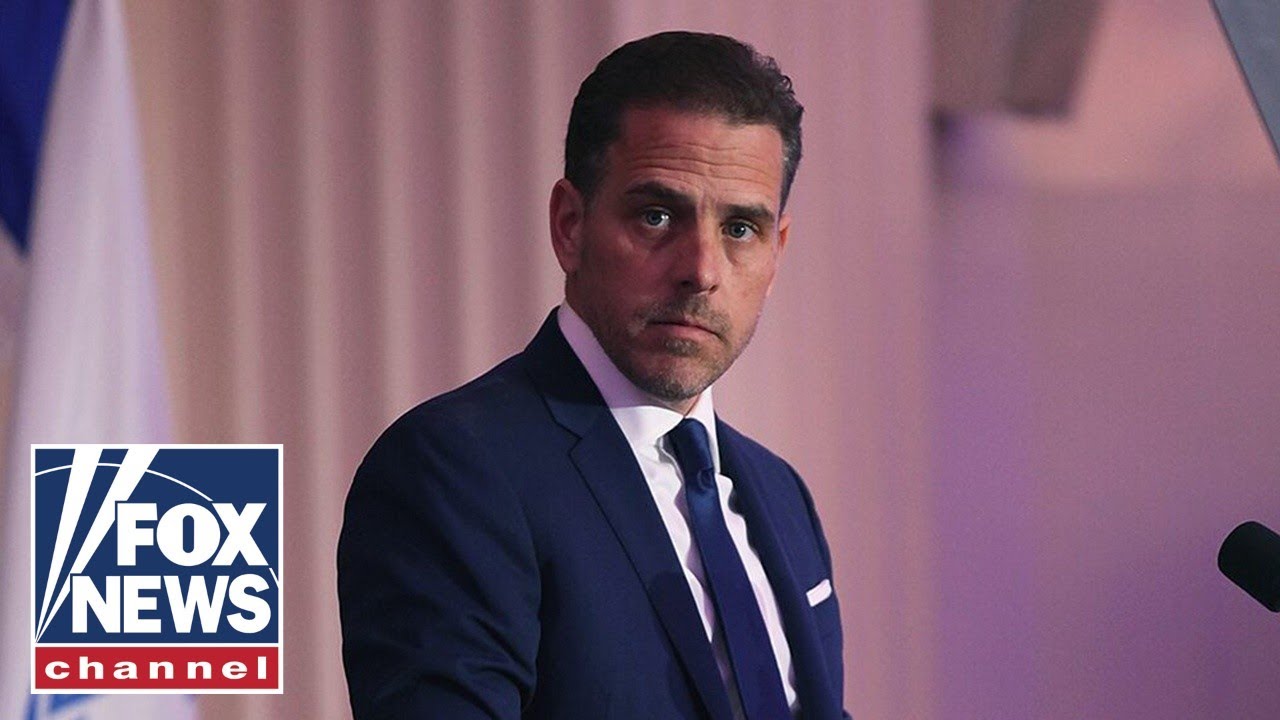 Questions arise over federal loans for gallery selling Hunter Biden's art