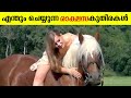 മനുഷ്യന്റെ സുഖത്തിന് വേണ്ടി ഇങ്ങന കുതിരകളെ ഉണ്ടാക്കാണോ ! Horse Facts Malayalam | Draft Hourse
