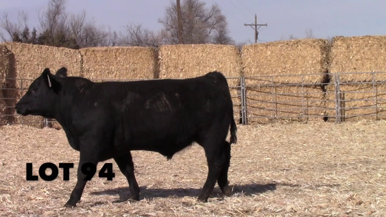 Lot 94 YouTube