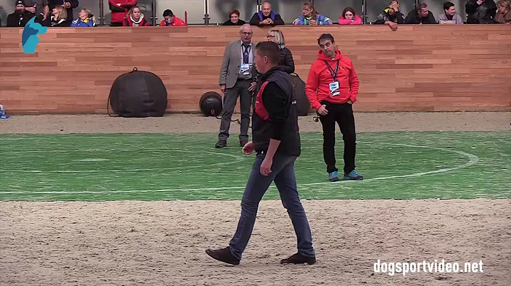 Category 3 - Joel Clercq + Nelson / BSD (Malinois)...